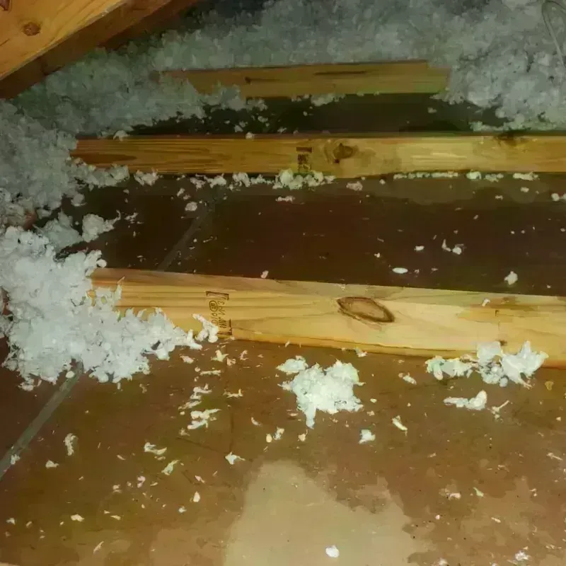 Attic Water Damage in Lee County, TX