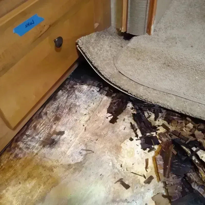 Wood Floor Water Damage in Lee County, TX